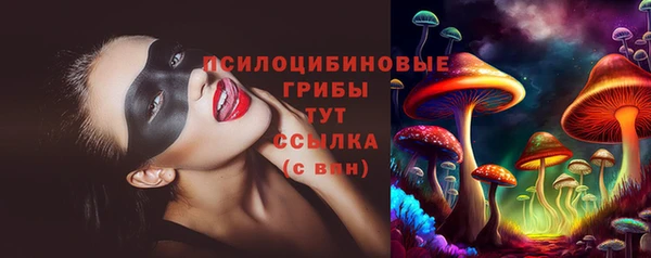 PSILOCYBIN Лагань