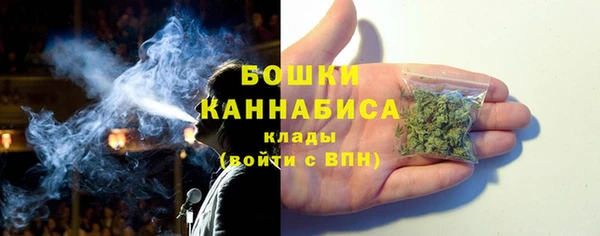 PSILOCYBIN Лагань
