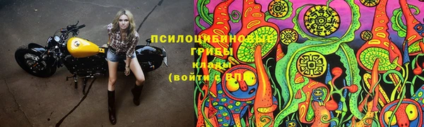 прущие крисы Лабытнанги