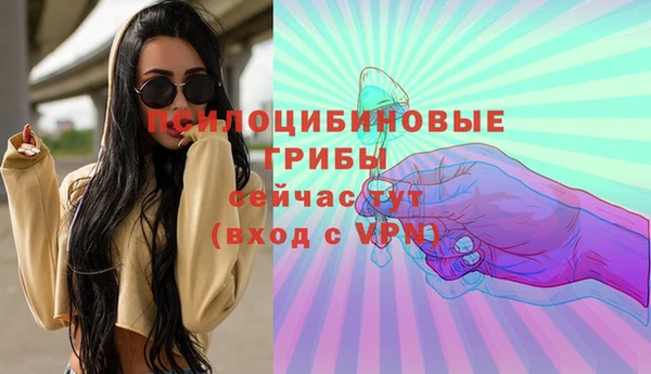 прущие крисы Лабытнанги