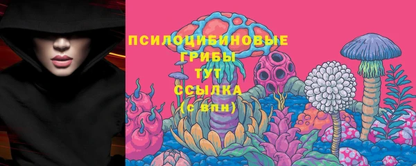 PSILOCYBIN Лагань