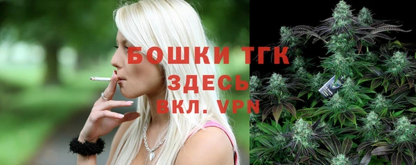 PSILOCYBIN Лагань